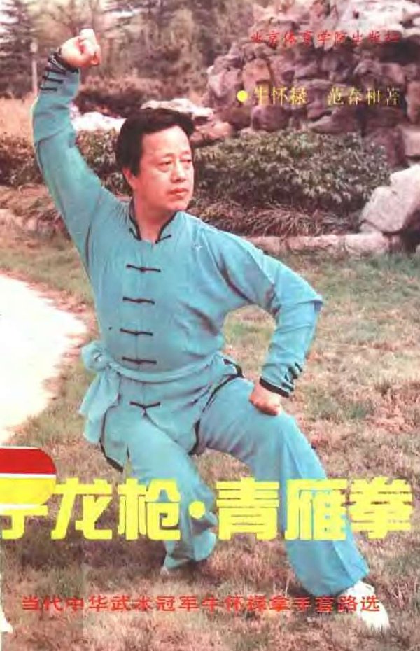 子龙枪.青雁拳