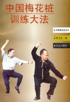 中国梅花桩训练大法