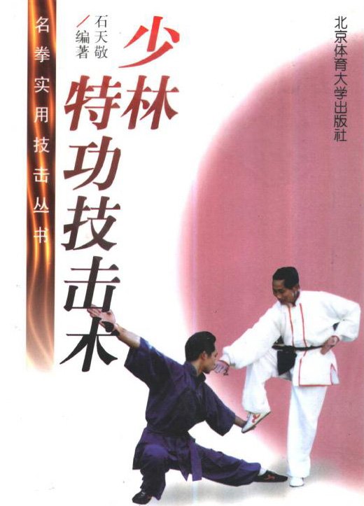 少林特功技击术